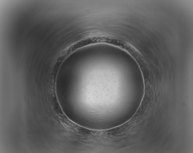X0000072530775200607211448