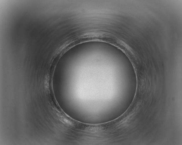 X0000072530778200607211448