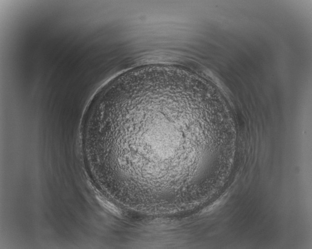 X0000072530779200607211448