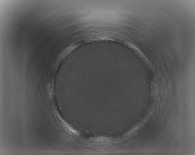 X0000072530785200607211448