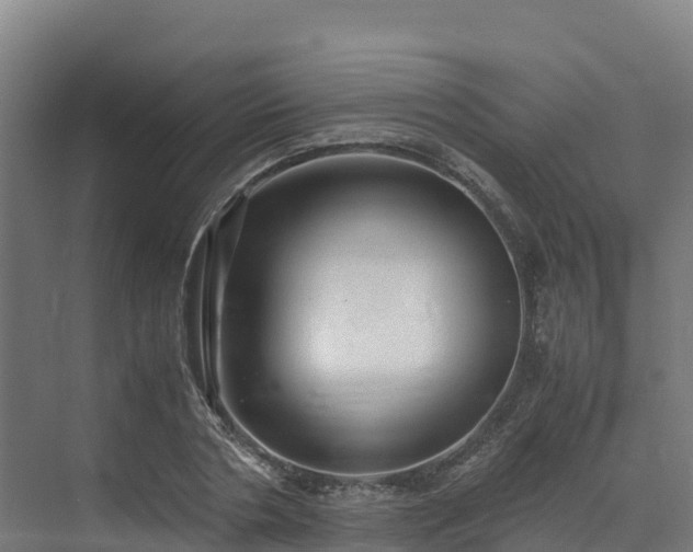X0000072530786200607211448