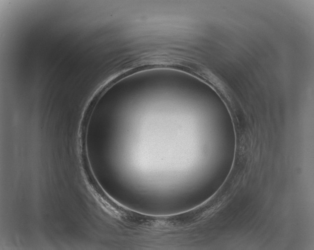 X0000072530787200607211448