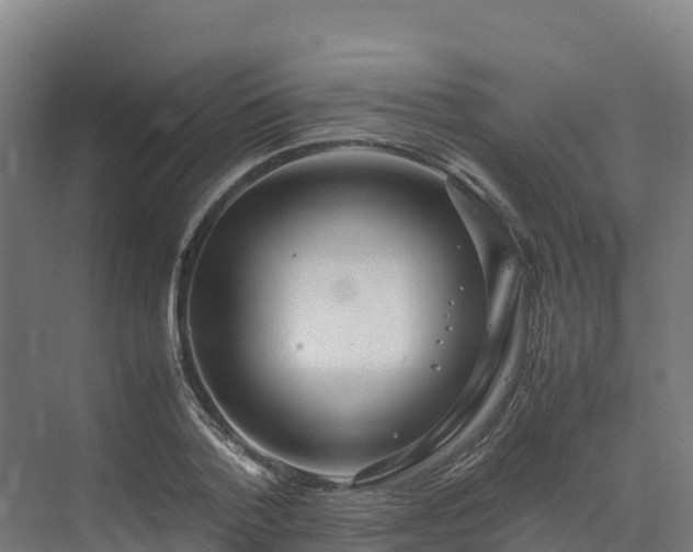 X0000072530788200607211448
