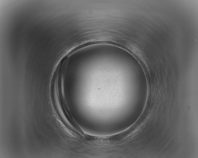 X0000072530789200607211448
