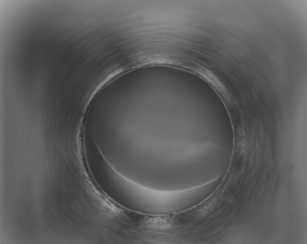 X0000072530806200607211448
