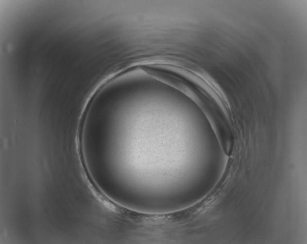 X0000072530813200607211448