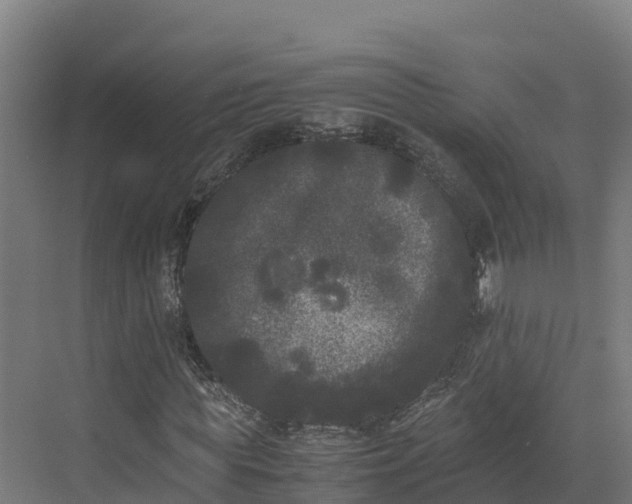 X0000072530819200607211447