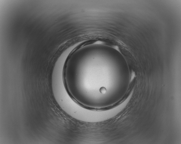 X0000072530822200607211447