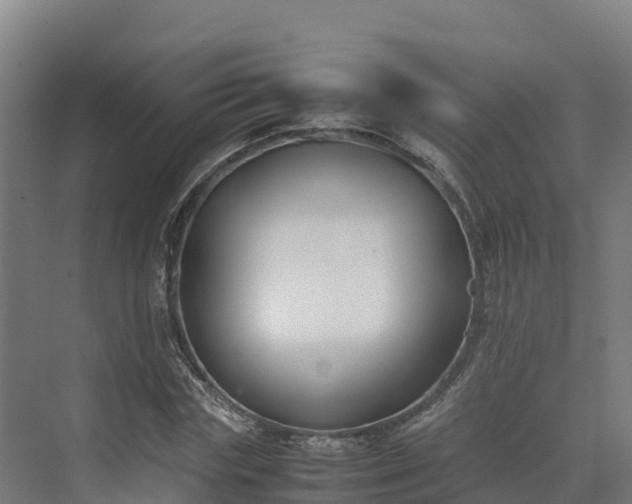 X0000072530827200607211447