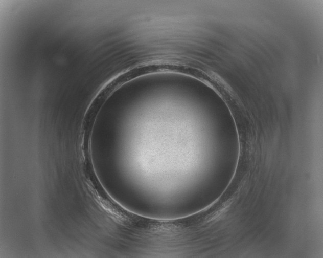 X0000072530830200607211447