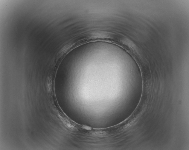 X0000072530833200607211447