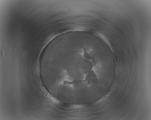 X0000072530835200607211447
