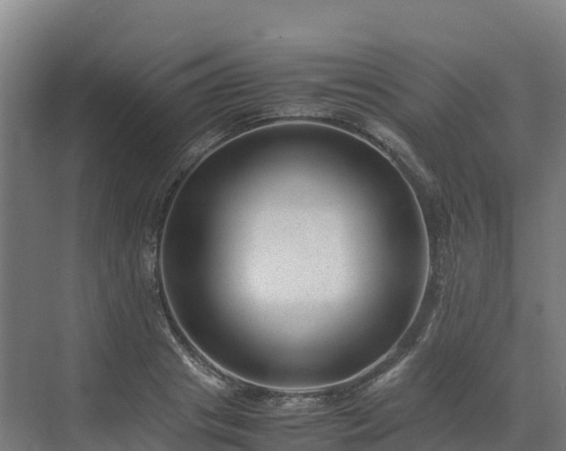 X0000072530841200607211447