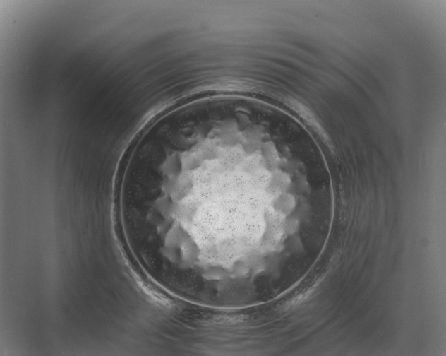 X0000072530845200607211447