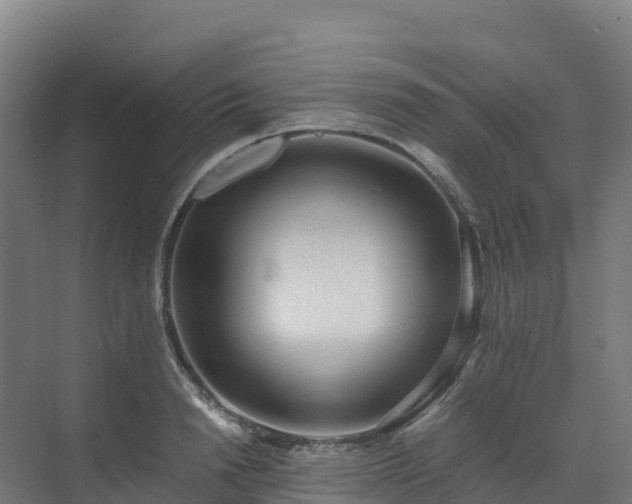 X0000072530846200607211447