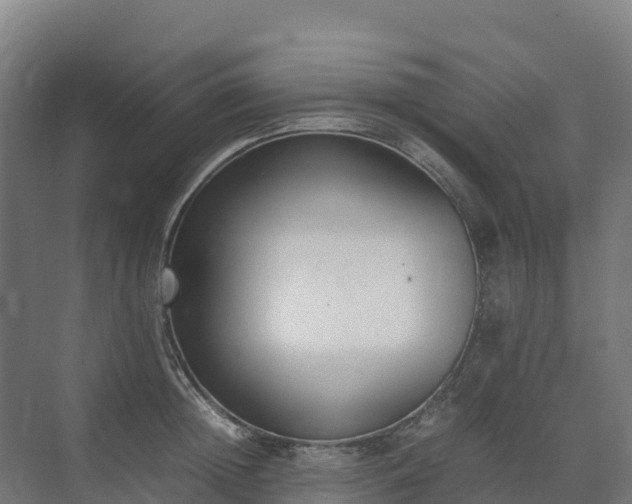 X0000072530852200607211447