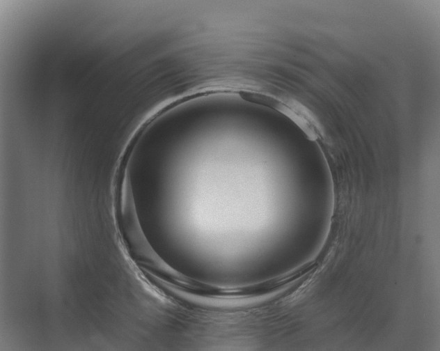 X0000072530854200607211447