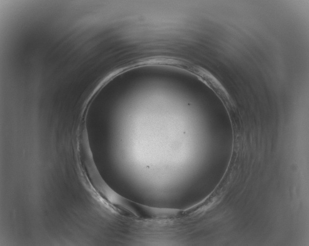 X0000072530860200607211447