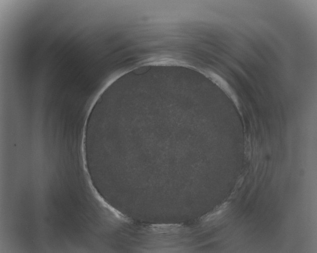 X0000072530863200607211447