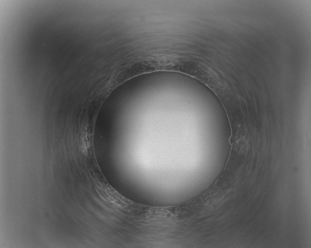 X0000072530866200607211447