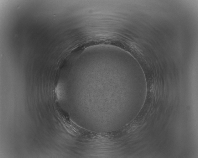 X0000072530868200607211447
