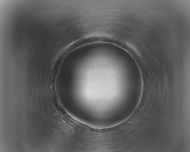 X0000072530872200607211447