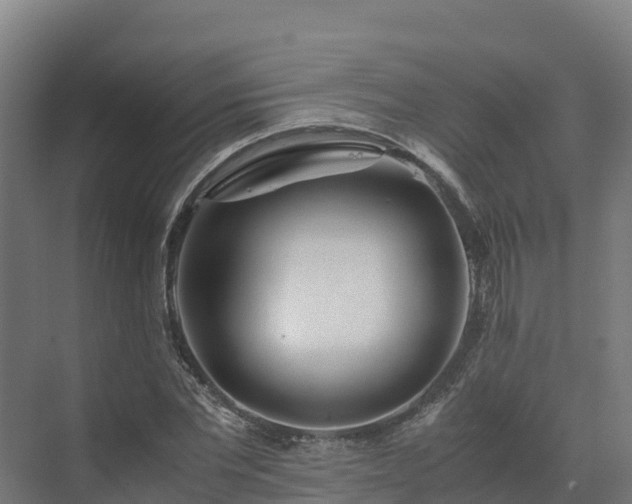 X0000072530877200607211446