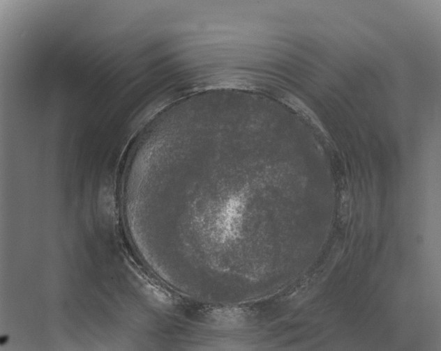 X0000072530882200607211446