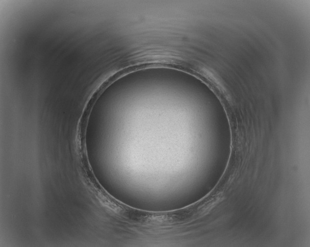 X0000072530883200607211446