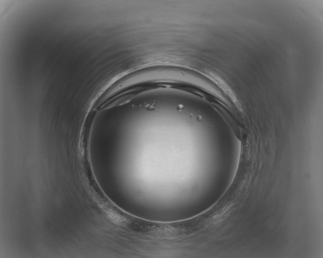 X0000072530885200607211446
