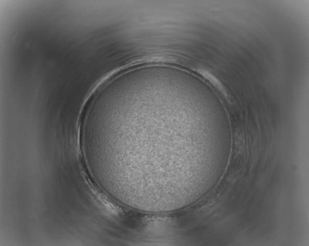 X0000072530886200607211446
