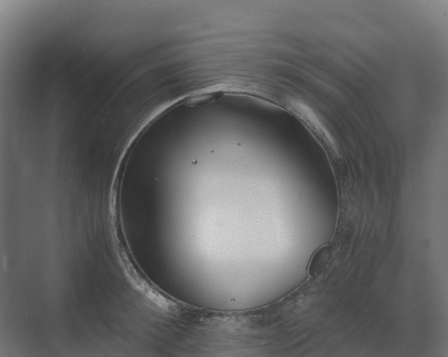 X0000072530900200607211446