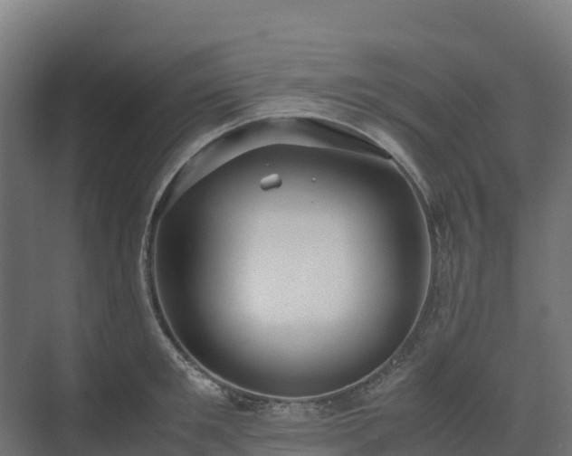X0000072530901200607211446