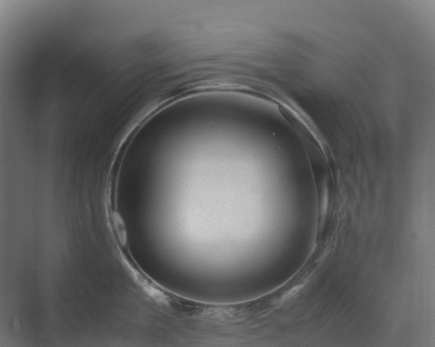 X0000072530909200607211446