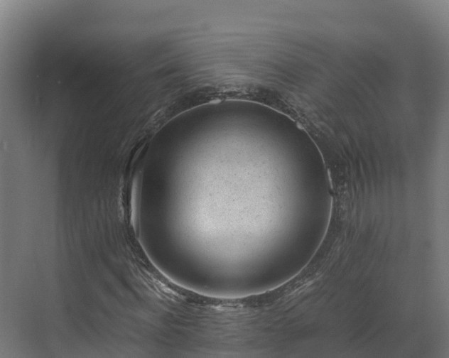 X0000072530916200607211445