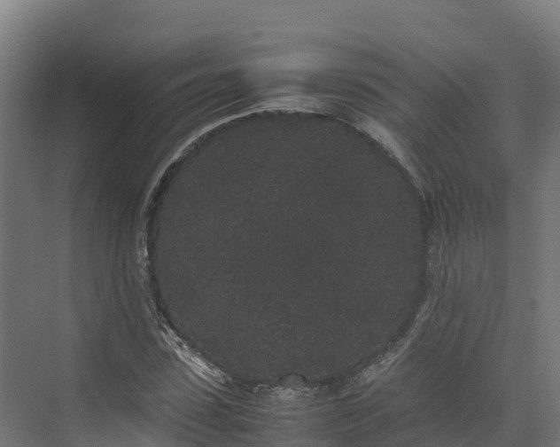 X0000072530923200607211445