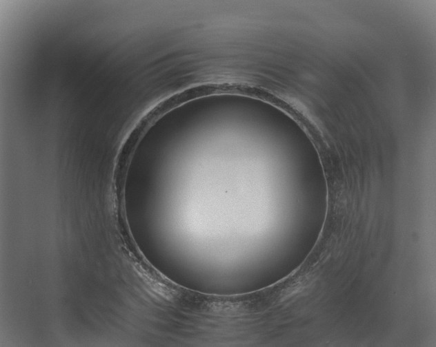 X0000072530927200607211445