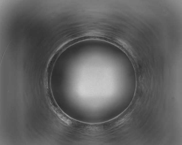 X0000072530931200607211445