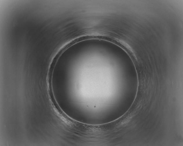 X0000072530935200607211445