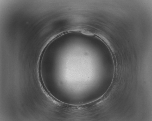 X0000072530949200607211446