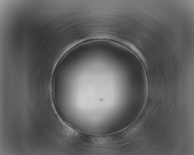X0000072530951200607211446
