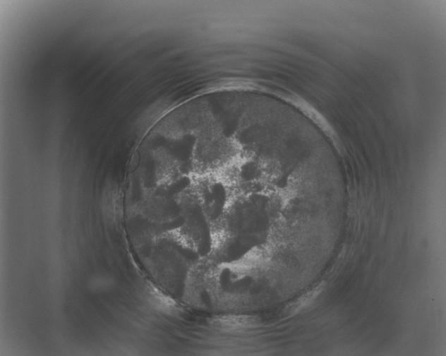 X0000072530953200607211446