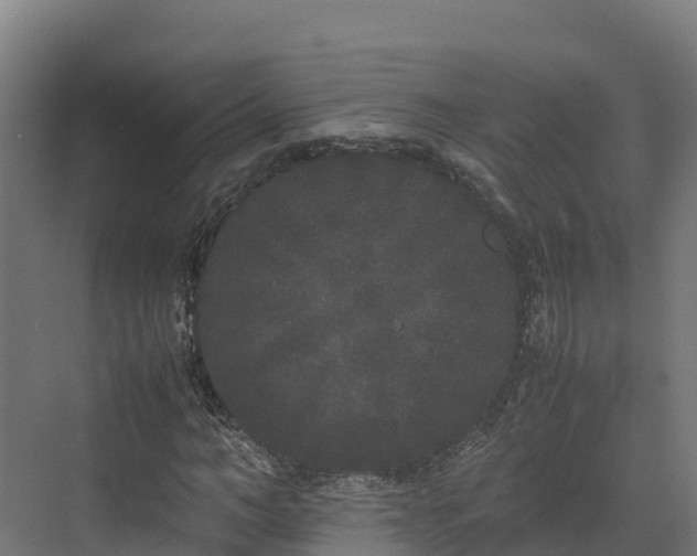 X0000072530966200607211445