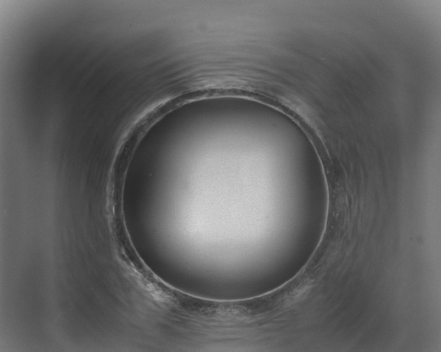 X0000072530979200607211445