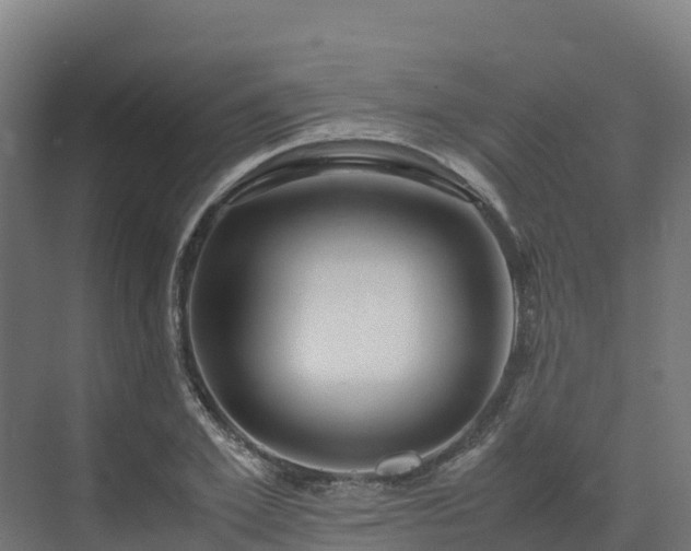 X0000072530981200607211445
