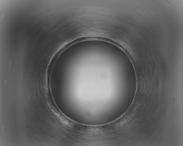X0000072530982200607211445