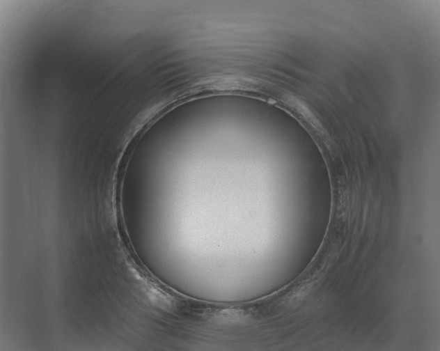 X0000072530986200607211445