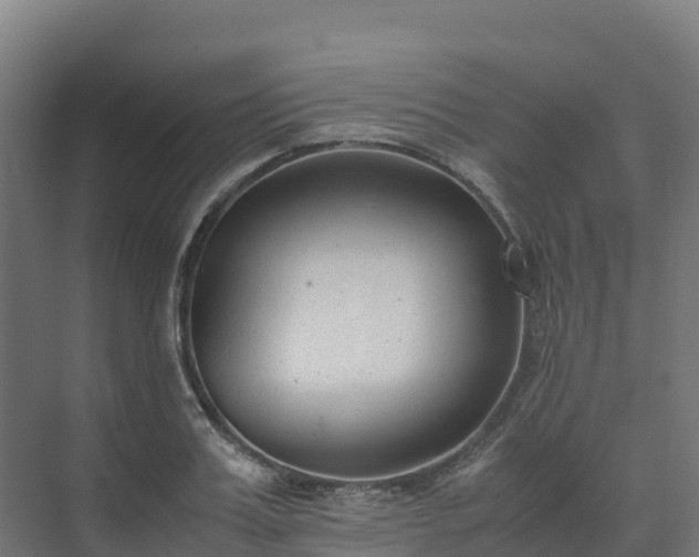 X0000072530987200607211445