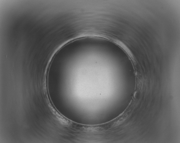 X0000072531004200607211444