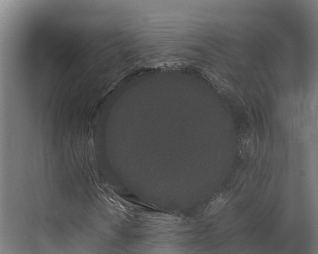 X0000072531010200607211443